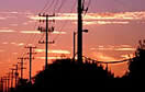 telegraph poles at sunset