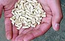 Wood pellets for CHP